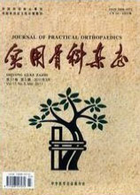 实用骨科杂志