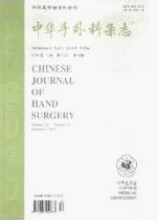 中华手外科杂志
