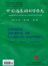 中国临床解剖学杂志