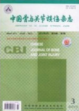 中国骨与关节损伤杂志